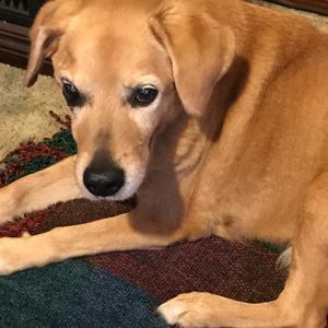 Meet your Posher, Fern